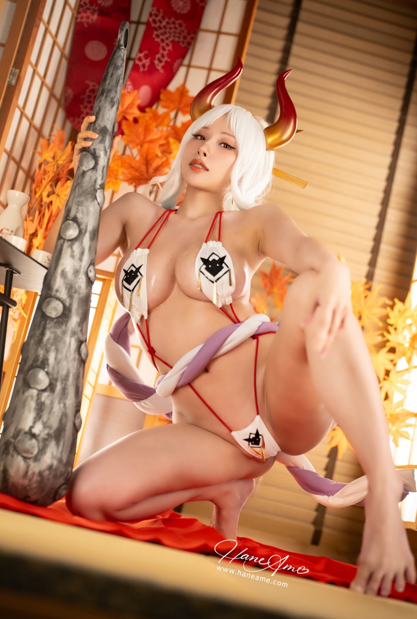 雨波 – NO.355 One Piece Yamato – 海贼王大和